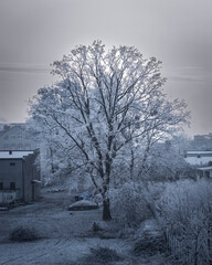 Zima © Filip