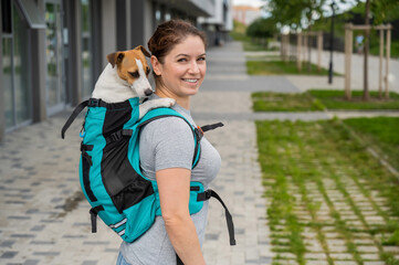 Caucasian woman walking outdoors with dog jack russell terrier in a special backpack. 