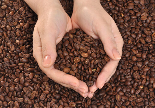 Female with nice hands holding coffee beans