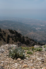 view from the top of the mountain dikeos kos greece