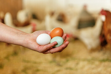 Fototapeta na wymiar A person holding eggs in front of an indoor hen house, farm shop direct marketing concept