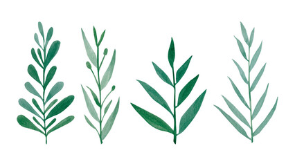 Cute hand drawn forest leaves and branch set. Watercolor illustration leaves for wedding invitation.