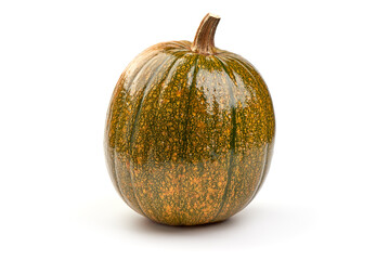Green pumpkin, isolated on white background.