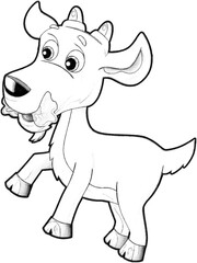 sketch cartoon scene with funny looking farm goat smiling illustration for children
