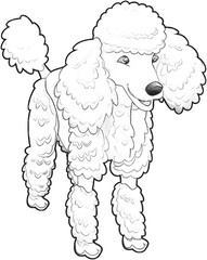 sketch cartoon dog farm animal isolated illustration for children