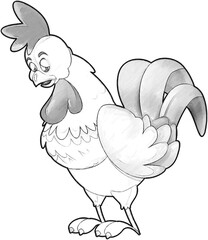 sketch cartoon scene with happy farm rooster illustration for children