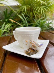 An off-white porcelain cup and saucer rests on a wooden bench surrounding a plant-filled space.
