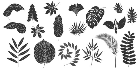 Isolated tropical hand drawn leaves silhouettes. Collection of vector exotic plants. Summer tropic botanical set
