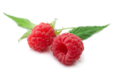 Two raspberries with green leaves on white background