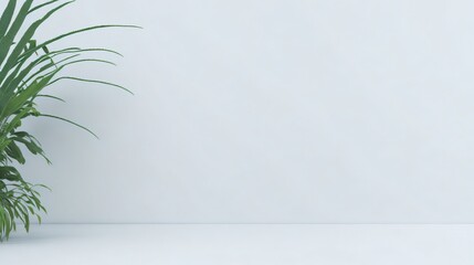 room with green plant, Minimalistic light background with green plant, for presentation