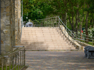 Steps up and iron handrails