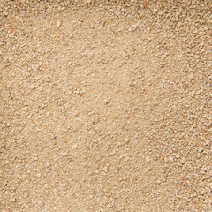 Sand for the Pets Litter with Small Stones. Natural Wooden Litter Top View. Toilet Particles. Macro. Organic Fuel. Wet Particles