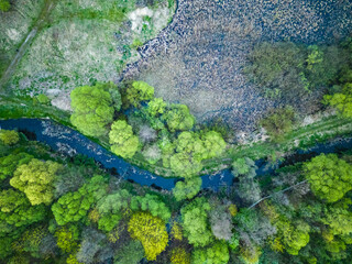 View of the forest and river from the drone