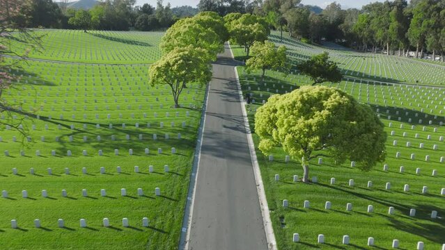 Aerial Los Angeles National Cemetery California USA. Drone flying above scenic green field with straight rows white grave plates on summer day. National cemetery where buried all members armed forces