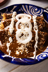 Enchiladas de Mole. Also known as mole poblano enchiladas, they are a typical Mexican dish that is very popular in Mexico and the rest of the world.