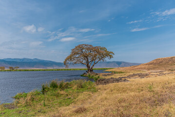 Fototapeta na wymiar Lake Magadi Ngorongoro Crater Tanzania