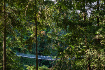 Capilano Bridge, a structure spanning the Capilano River, in the North District of Vancouver,...