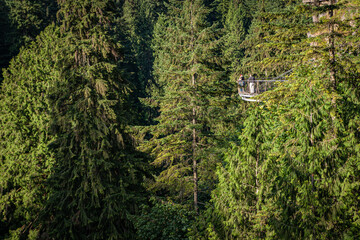 Capilano Bridge, a structure spanning the Capilano River, in the North District of Vancouver,...