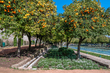 Gardens of the Alcazar de los Reyes Cristianos, Cordoba, Andalusia, southern Spain