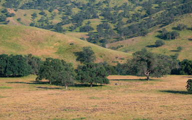 Fototapeta premium Scenic Mountains near Bealville, Kern County, California