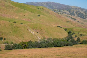 Scenic Mountains near Bealville, Kern County, California