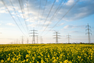 A lot of high-voltage power line, electrical energy transmission tower overhead line masts, high...