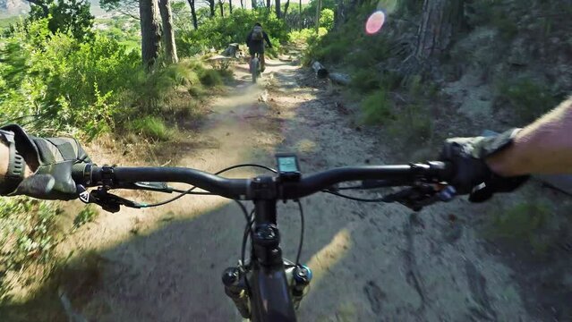 Cycling, extreme sports and hands of man on mountain for adrenaline junkie, adventure and fitness. Nature, trees and forest with man riding on bicycle in park for speed, exercise or downhill training