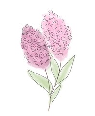 Bez Lilac Lilak watercolor