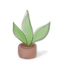 Roślina w doniczce Plant