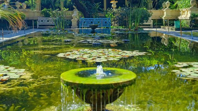 Beautiful calm garden pond with water lilies in slow motion