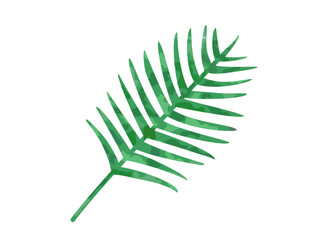 ヤシの葉をイメージしたイラスト