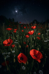 Red poppies field at night generative AI