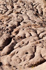 water tracks in sand