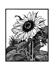 Aesthetic Pencil Drawing Sunflower T-Shirt Print