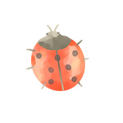 水彩の赤い七星てんとう虫