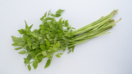 セリの葉（芹の葉）