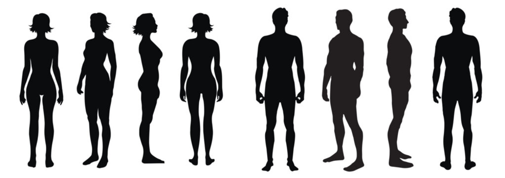 Body full length silhouettes of a man and woman, front, side, 3-4 and back view, vector  illustration 