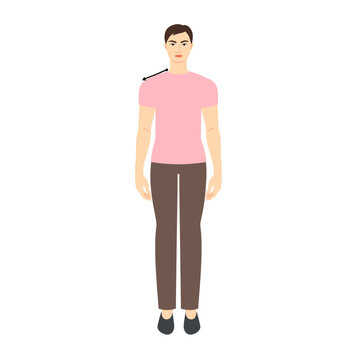 Men to do shoulder measurement body with arrows fashion Illustration for size chart. Flat male character front 8 head size boy in pink shirt. Human gentlemen infographic template for clothes
