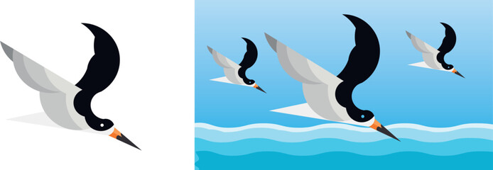 Naklejka premium seagulls in the sea, black skimmer