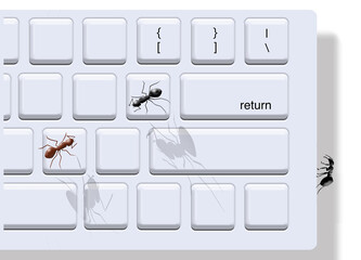 Office ants invade a computer keyboard in a 3-d illustraton about insect pest control and extermination.