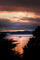 Naklejka na ściany i meble A boat on the water in Seattle Washington bay at sunset with trees