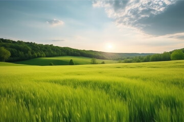 Obraz na płótnie Canvas natural landscape with green grass field, spring summer landscape