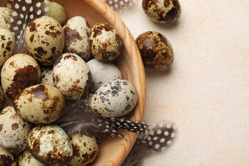 Fototapeta premium Speckled quail eggs and feathers on beige background, above view. Space for text