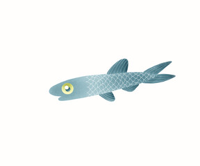 fish on a white background