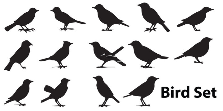 A black and white illustration of a bird set silhouette vector illustration.