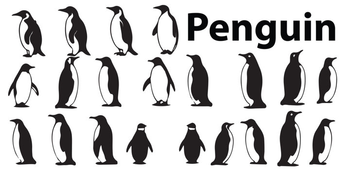 Penguin Vector Images – Browse 1,247 Stock Photos, Vectors, and Video