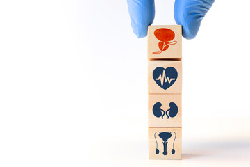 Bladder and prostate, HTA. Prostate cancer, bladder cancer, men's health care. Adult male medical...
