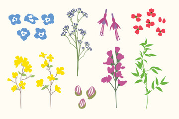 hand drawn flowers, beautiful flower collection, floral bouquets