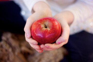 hand holding apple