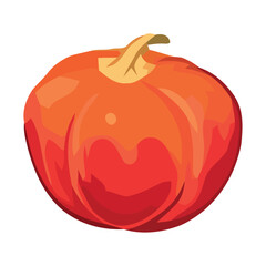 Ripe pumpkin vegetable food